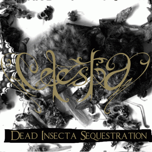 Celestia (FRA) : Dead Insecta Sequestration